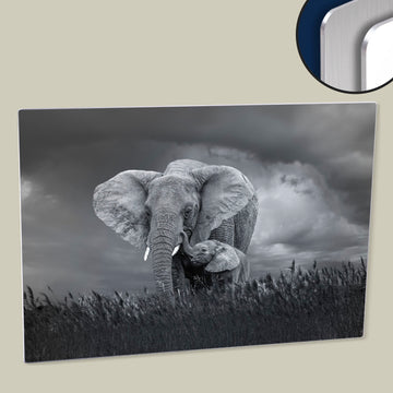 Baby and Mother Elephant, Black and White, Wildlife, Printed on  HD Metal Panel