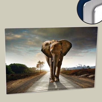 Add a Touch of Power and Elegance with a Giant Elephant Poster | Printed on HD Metal Print