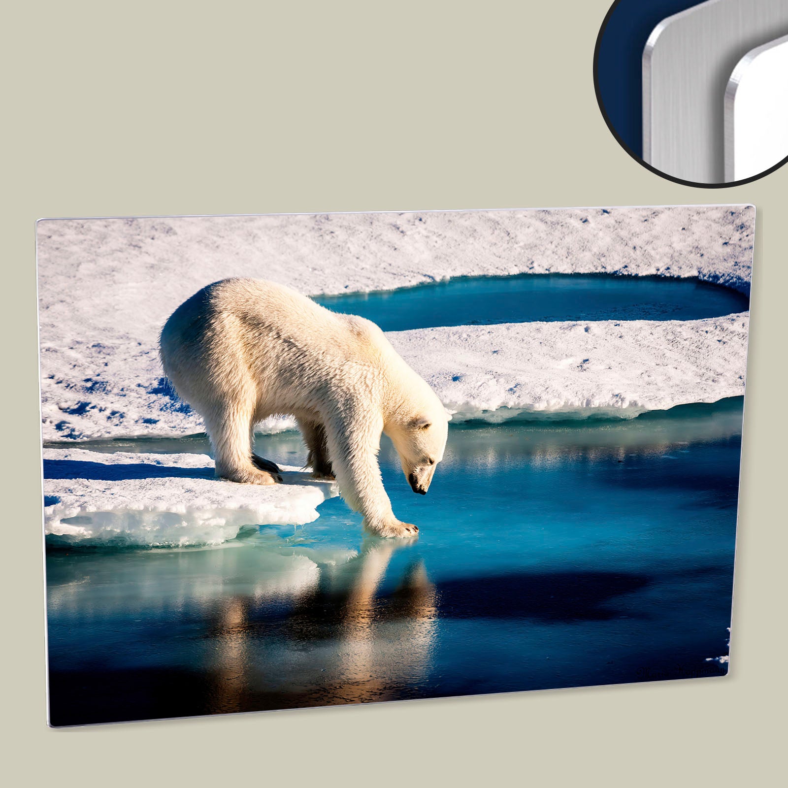 Polar bear at the Arctic - Image by NASA - Digitally Enhanced Poster Printed on HD Metal Panel