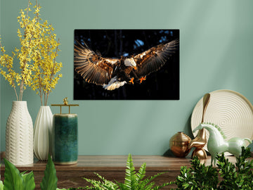 The Flying Eagle, High-Resolution Image, Printed on  HD Metal Panel