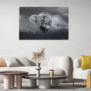 Baby and Mother Elephant, Black and White, Wildlife, Printed on  HD Metal Panel